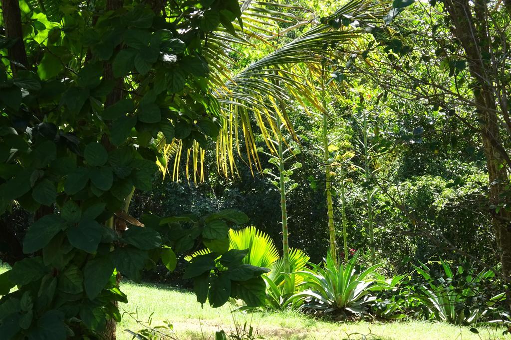 Tranquility By The Sea Villa Vieques Cameră foto