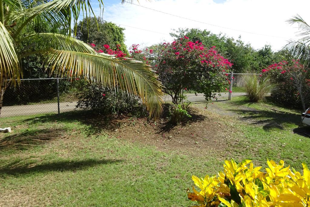 Tranquility By The Sea Villa Vieques Cameră foto