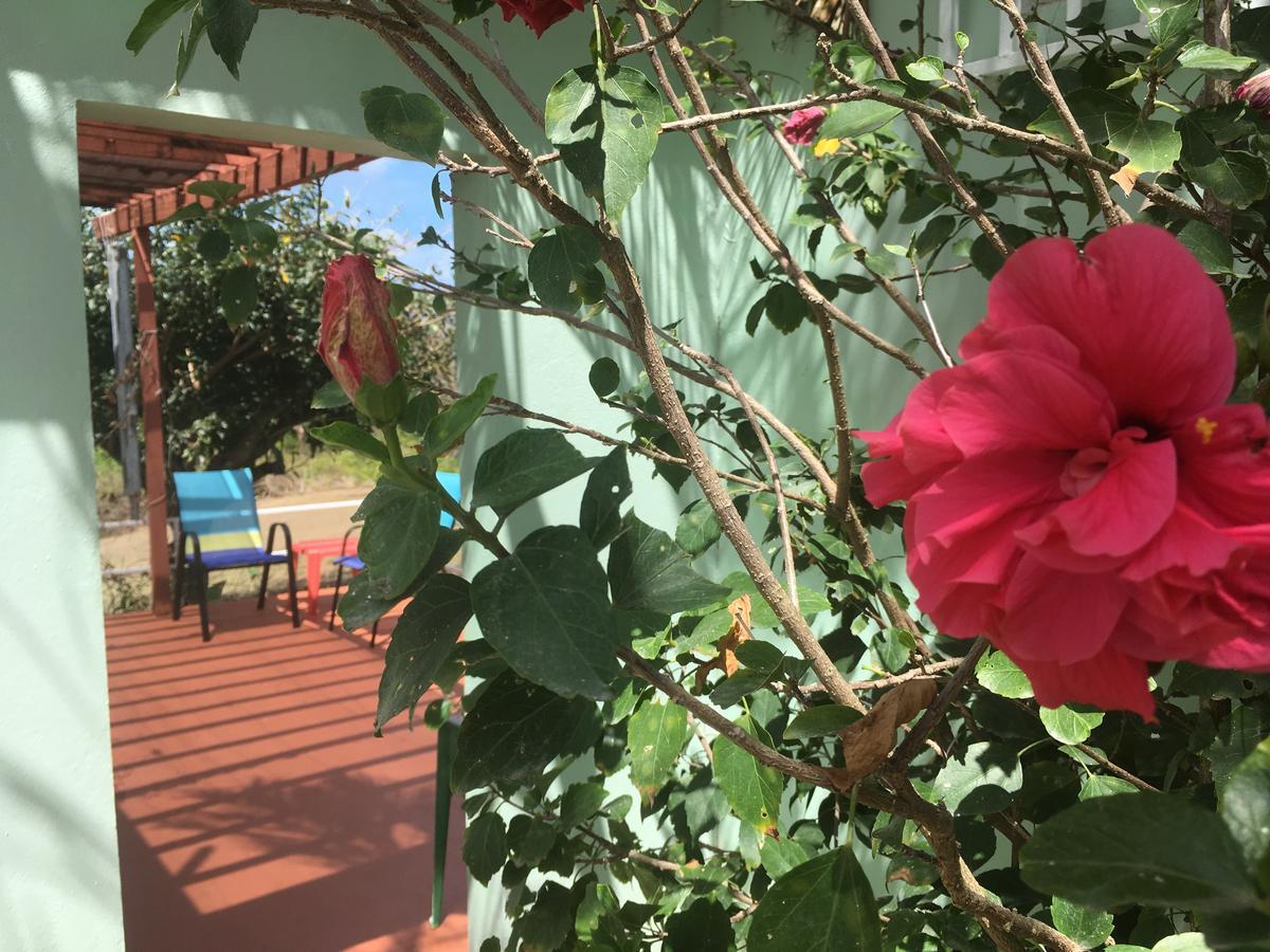 Tranquility By The Sea Villa Vieques Exterior foto