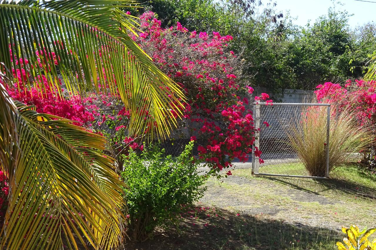 Tranquility By The Sea Villa Vieques Exterior foto