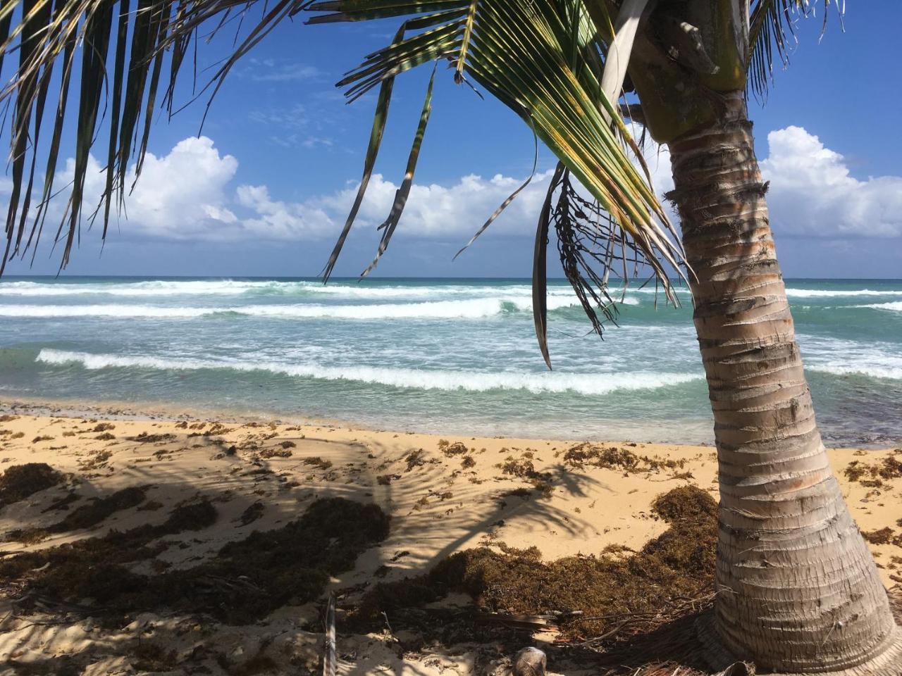 Tranquility By The Sea Villa Vieques Exterior foto