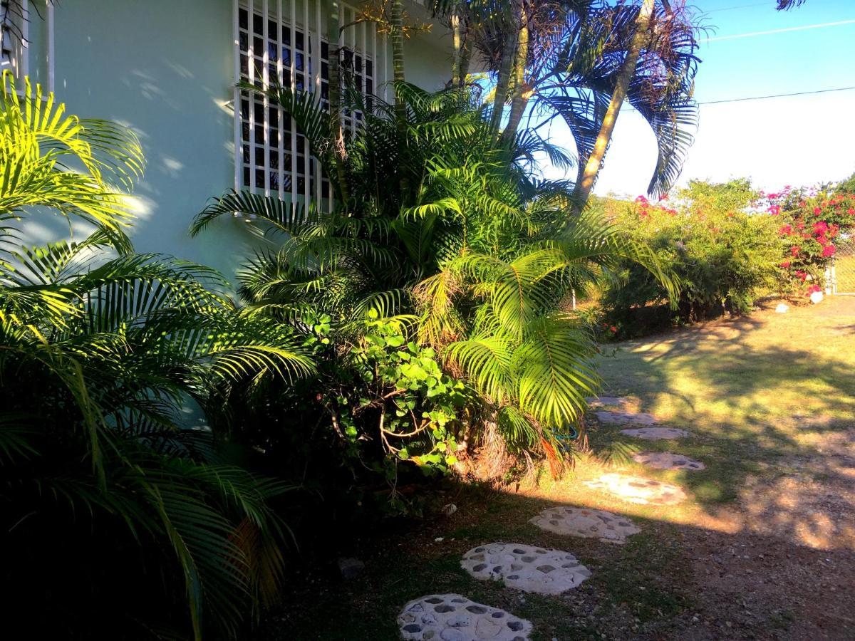 Tranquility By The Sea Villa Vieques Exterior foto